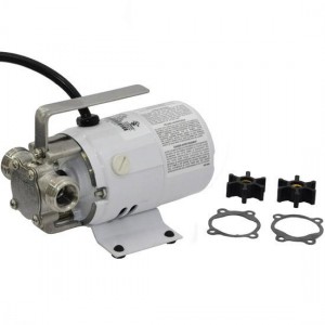 Manual Non-Submersible Utility/Transfer Pump w/ 6' cord, 1/10HP, 115V
